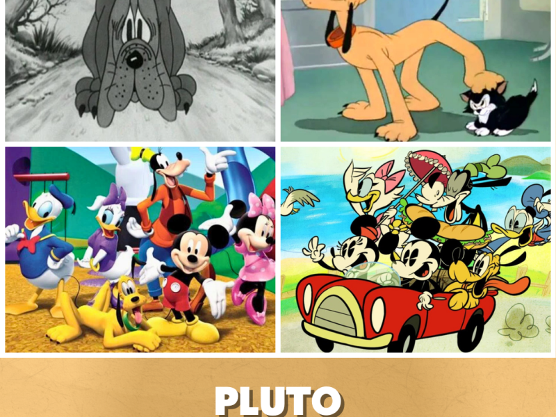 95 Jahre Pluto: Disney-Legende auf vier&nbsp;Beinen